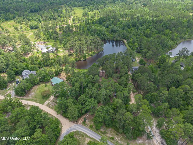 146 Maple Dr, Perkinston, MS 39573 - aerial overview of property's location with a nearby body of water and a forest