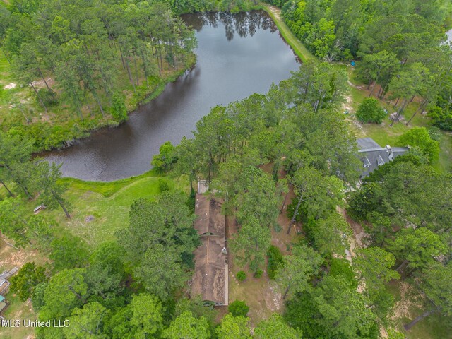 146 Maple Dr, Perkinston, MS 39573 - aerial view of property's location featuring a nearby body of water
