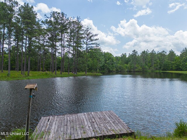 146 Maple Dr, Perkinston, MS 39573 - dock with a water view and a wooded view