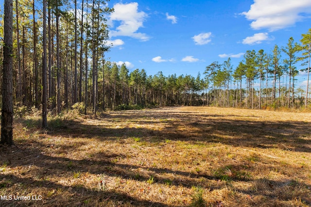 305 Loyd Irby Rd, Pelahatchie MS, 39145 land for sale