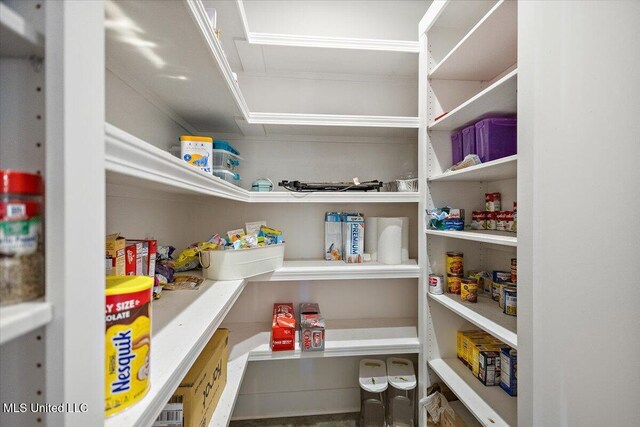 1254 Wade Patrick Rd, Brandon, MS 39042 - view of pantry