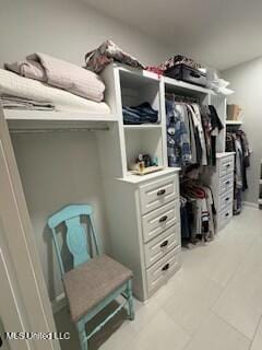 view of spacious closet