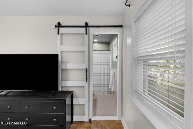 interior space featuring baseboards and a barn door