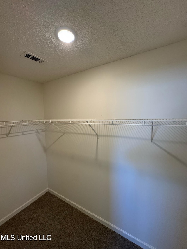 spacious closet with carpet