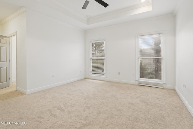 carpeted spare room featuring crown molding, ceiling fan, and a tray ceiling