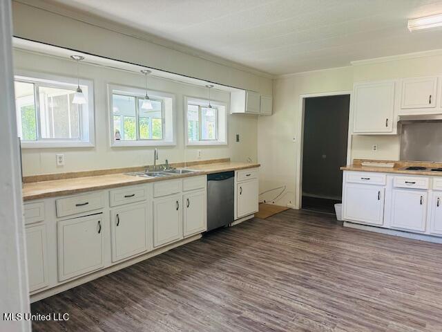 1561 Section Line Rd, Picayune, MS 39466 - kitchen with dishwasher, healthy amount of natural light, dark wood finished floors, white cabinets, and crown molding