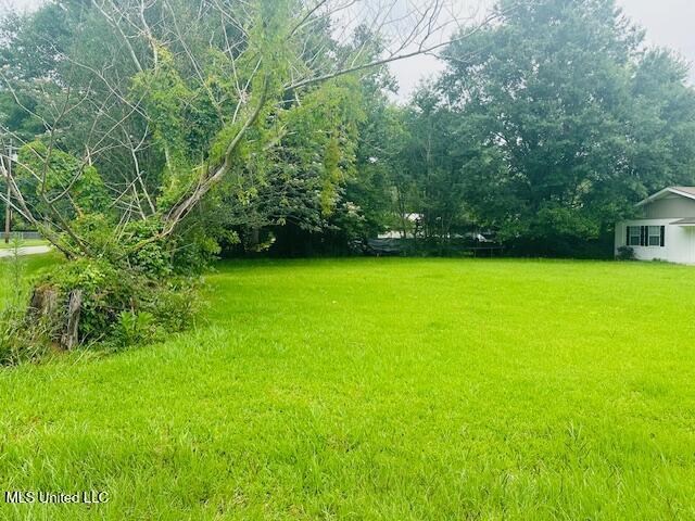 1561 Section Line Rd, Picayune, MS 39466 - view of green lawn