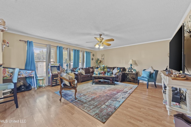 living area featuring ornamental molding, a ceiling fan, a textured ceiling, and light wood-type flooring