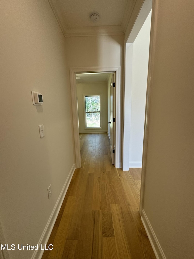 412 Butternut Dr Unit 184, Canton, MS 39046 - hall featuring wood finished floors, ornamental molding, and baseboards