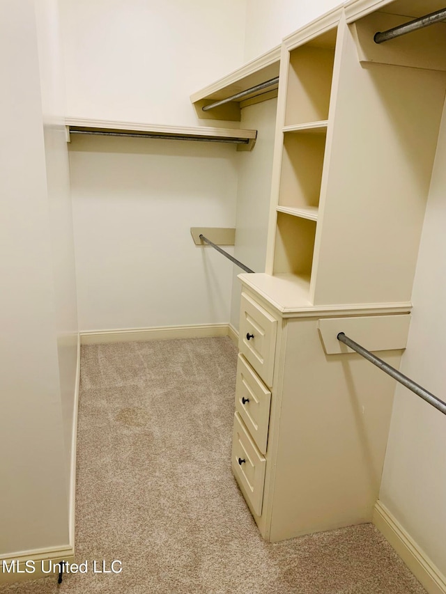 spacious closet featuring light colored carpet