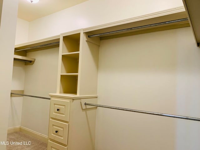 spacious closet featuring carpet flooring