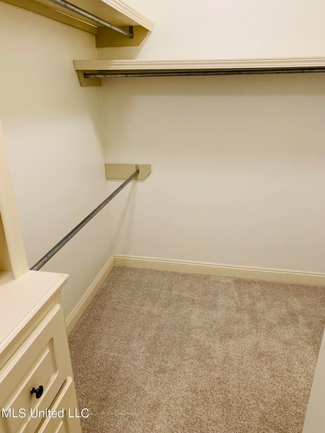 spacious closet featuring carpet