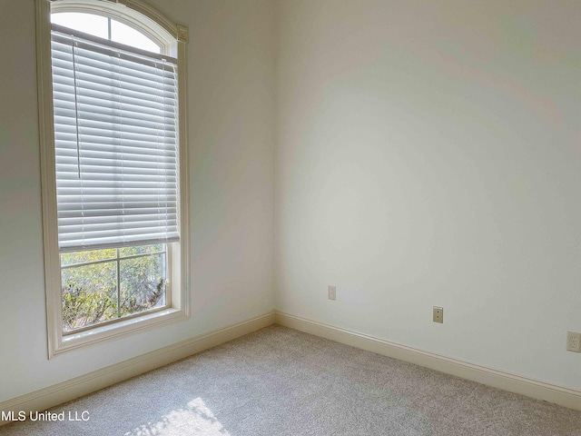 unfurnished room featuring light carpet and a wealth of natural light