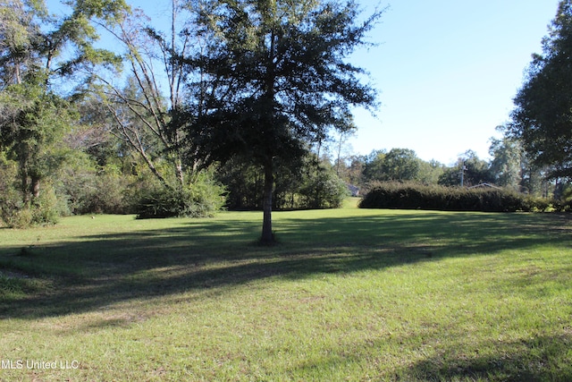 view of yard