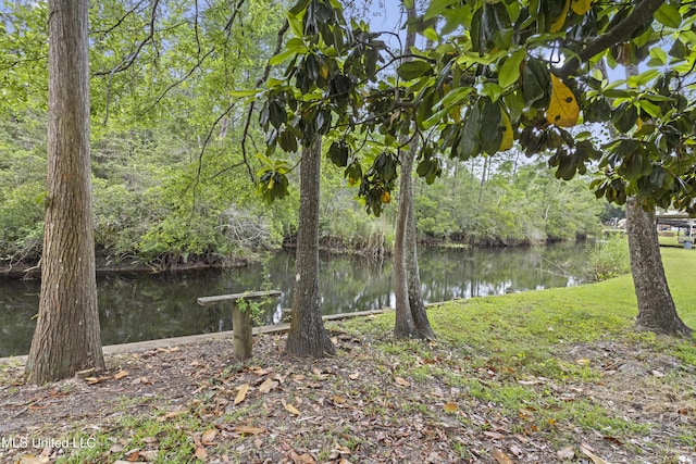 4620 Holly Heath Dr, Gautier, MS 39553 - water view