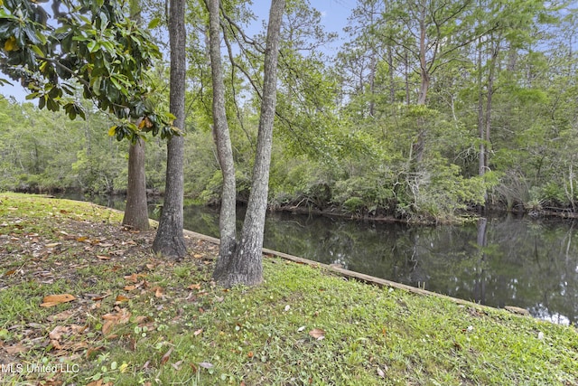 4620 Holly Heath Dr, Gautier, MS 39553 - water view