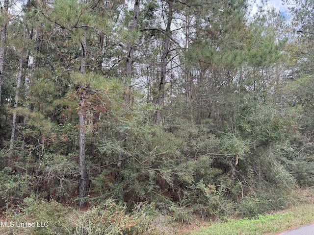 0 Dupont Harts Chapel Rd, Poplarville MS, 39470 land for sale