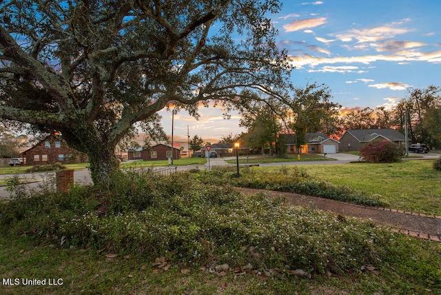 view of yard at dusk