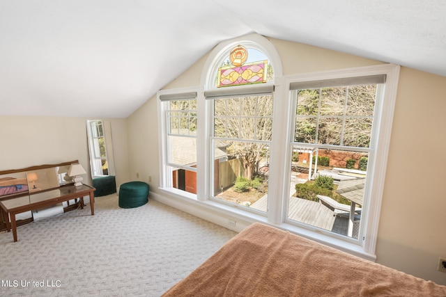 interior space with lofted ceiling and carpet flooring