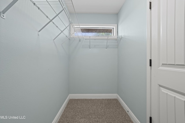 13239 Tyler Ln, Gulfport, MS 39503 - walk in closet with carpet floors