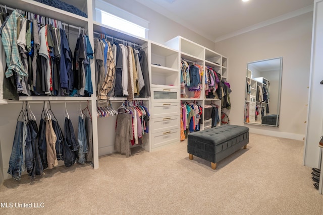 spacious closet with light carpet