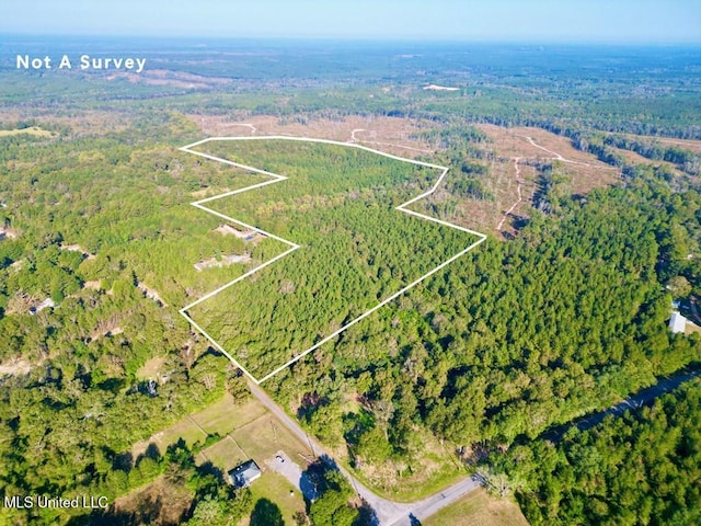 Nelson Rd, Poplarville MS, 39470 land for sale