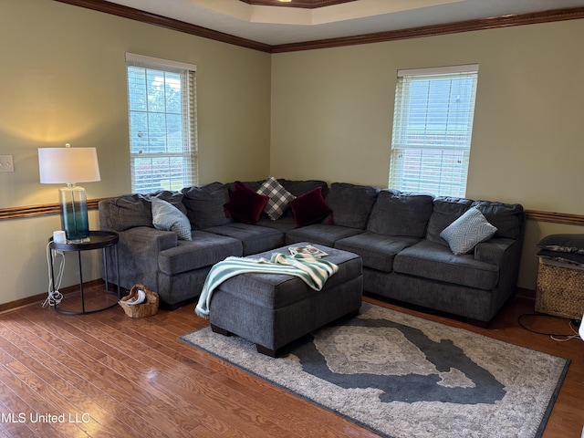 living room with crown molding, a tray ceiling, and wood finished floors