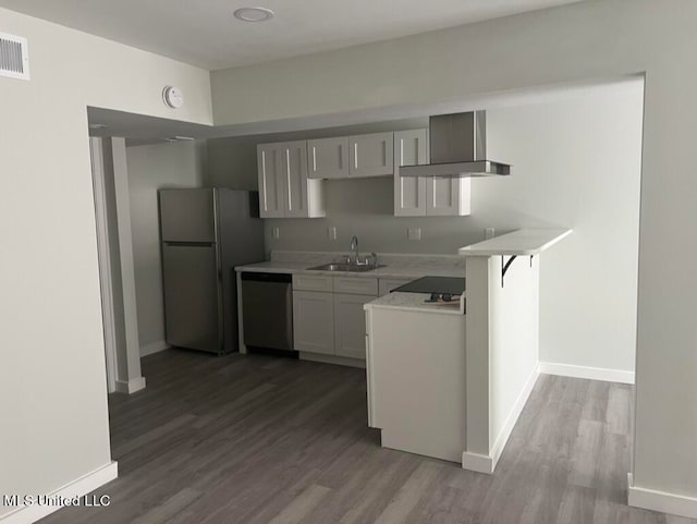 kitchen featuring wall chimney exhaust hood, sink, hardwood / wood-style floors, and stainless steel appliances