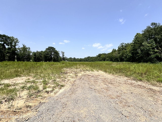 Luckney Rd, Brandon MS, 39042 land for sale