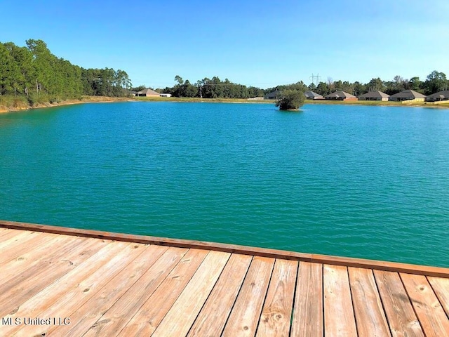 dock area with a water view