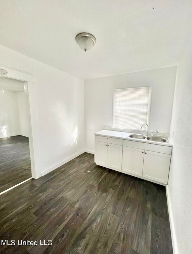 interior space featuring dark wood-type flooring and sink