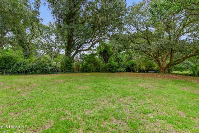 120 Clower Ave, Long Beach, MS 39560 - view of green lawn