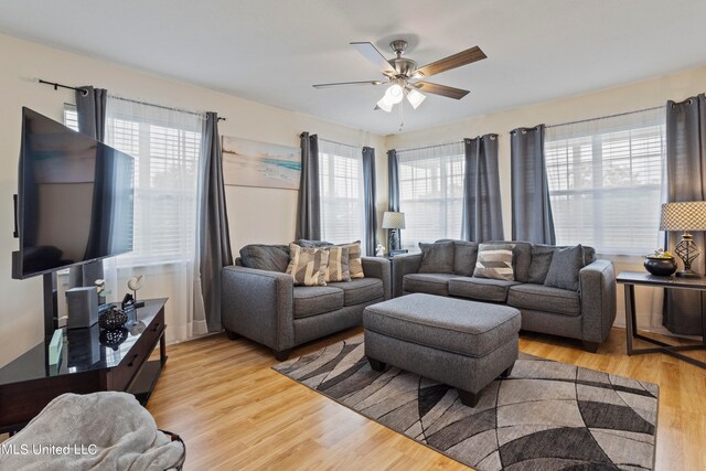 living room with ceiling fan and light wood-type flooring