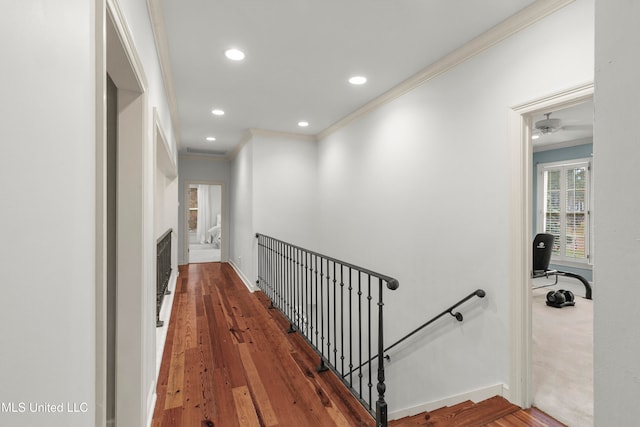 corridor featuring dark hardwood / wood-style floors and crown molding