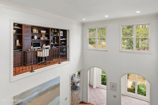 interior details with ornamental molding and carpet