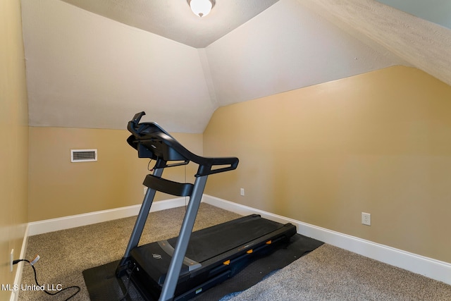 workout room with lofted ceiling, a textured ceiling, and carpet floors