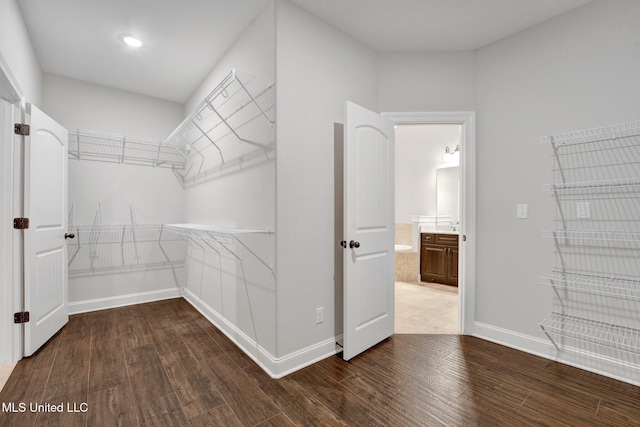 spacious closet with wood-type flooring