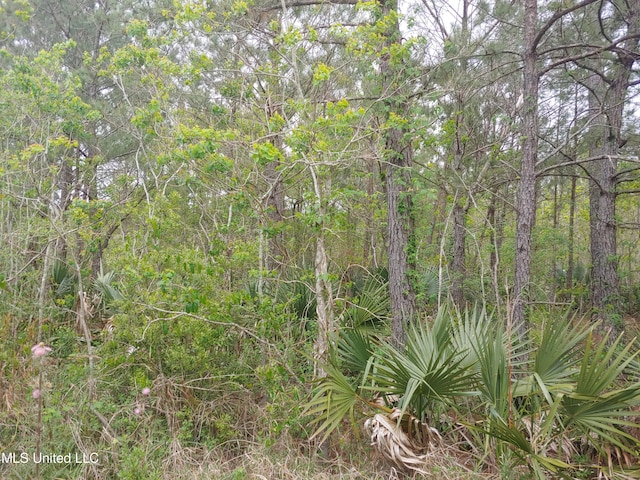 Rio Grande St, Bay Saint Louis MS, 39520 land for sale