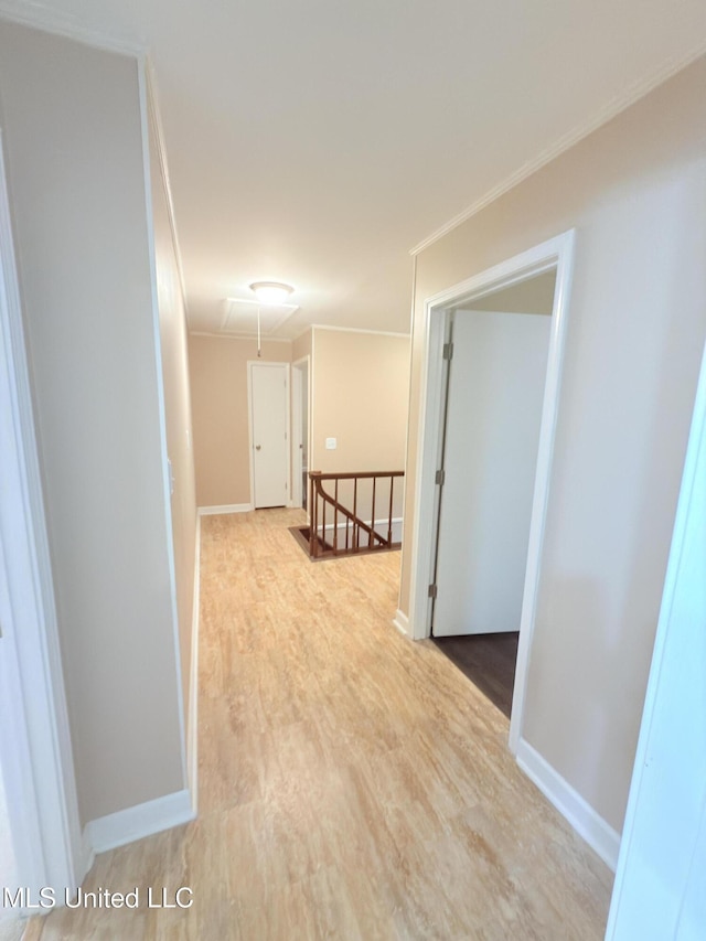 588 Robin Rd, Grenada, MS 38901 - corridor featuring light hardwood / wood-style flooring and ornamental molding