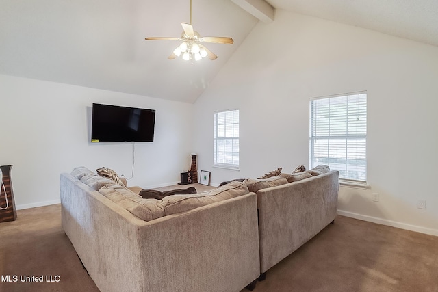 carpeted living room with high vaulted ceiling, ceiling fan, and beamed ceiling