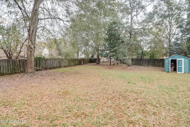 view of yard featuring a storage shed