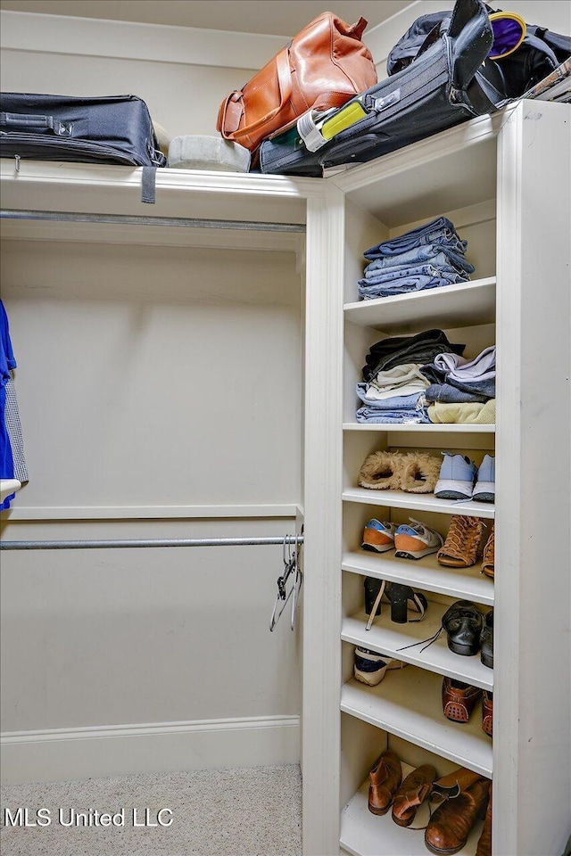 view of closet