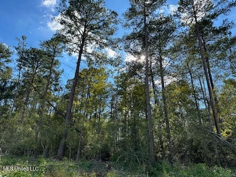 Listing photo 3 for 32ACRES Garner Rd, Mount Olive MS 39119