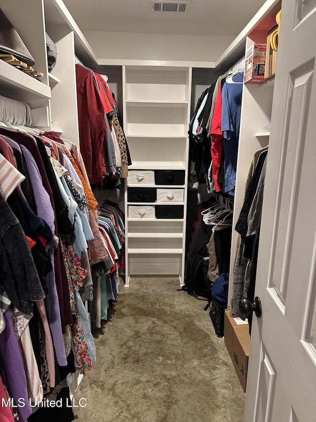 view of spacious closet