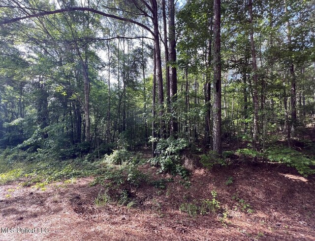 916 Virgin Mary Rd, Camden, MS 39045