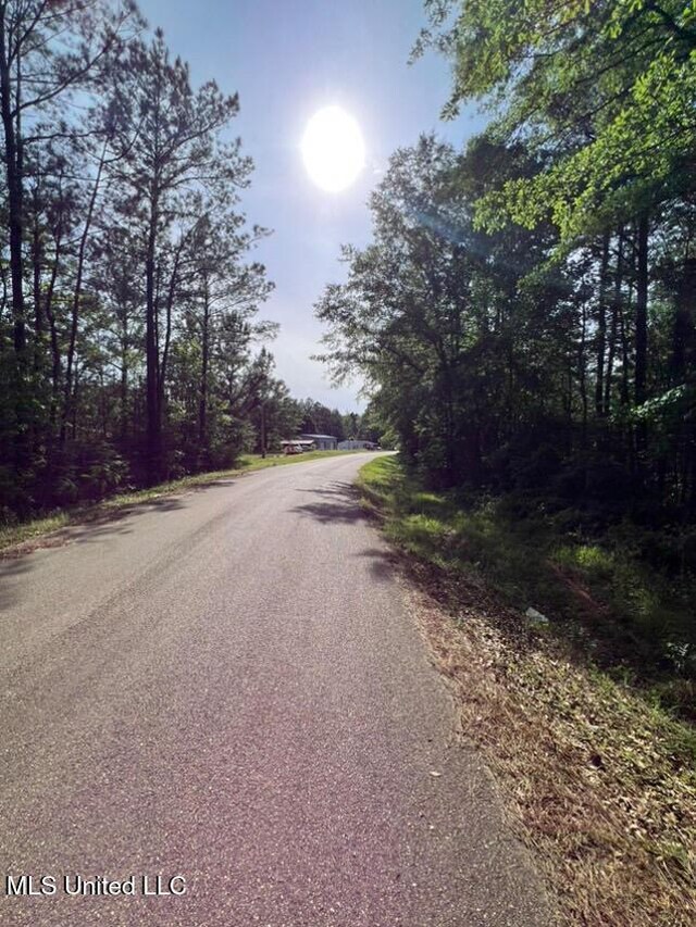 916 Virgin Mary Rd, Camden, MS 39045