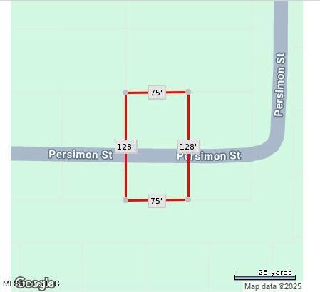 Persimmon Ave, Ocean Springs, MS 39564