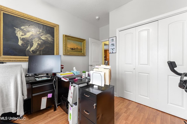 home office featuring light wood-type flooring