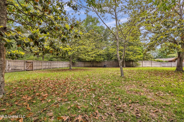 view of yard featuring a fenced backyard