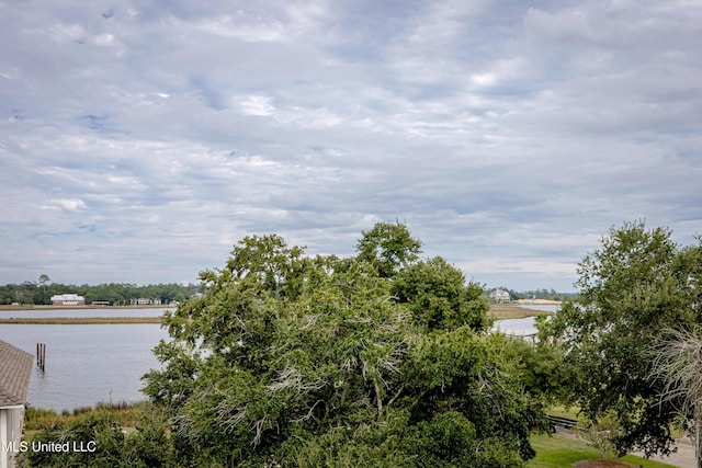 property view of water